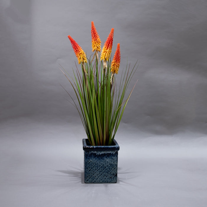 LONGJIN-90CM TORCH LILY GRASS ORG (413252209)