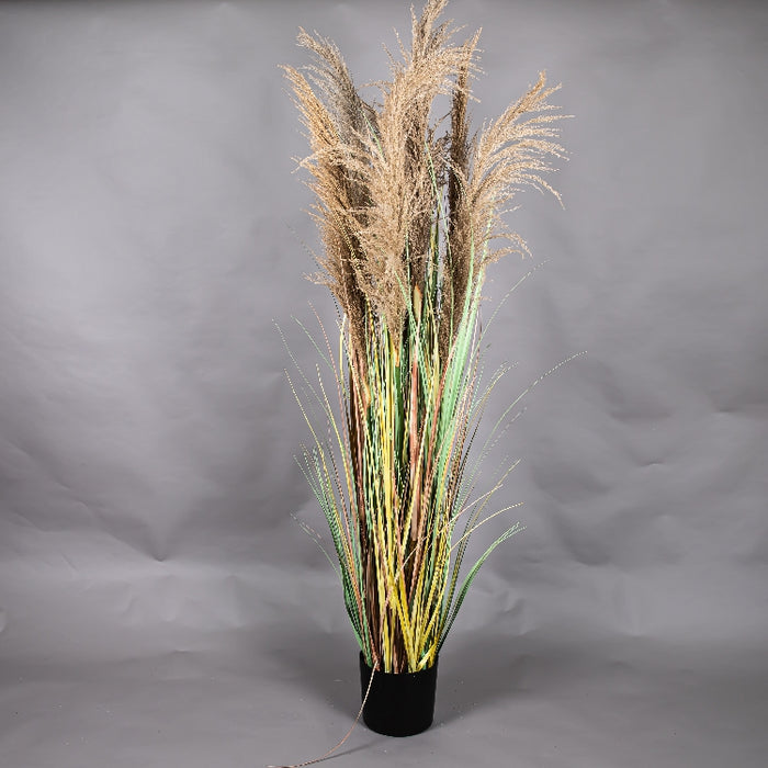 LONGJIN 72INCH DRIED PAMPAS GRASS WITH PLASTIC POT (413252064)