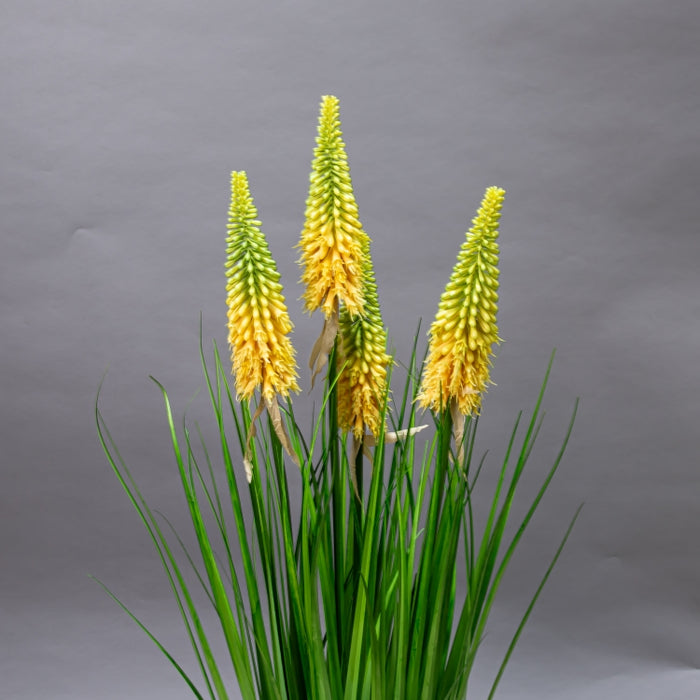 LONGJIN-90CM TORCH LILY GRS GRN (413252212)