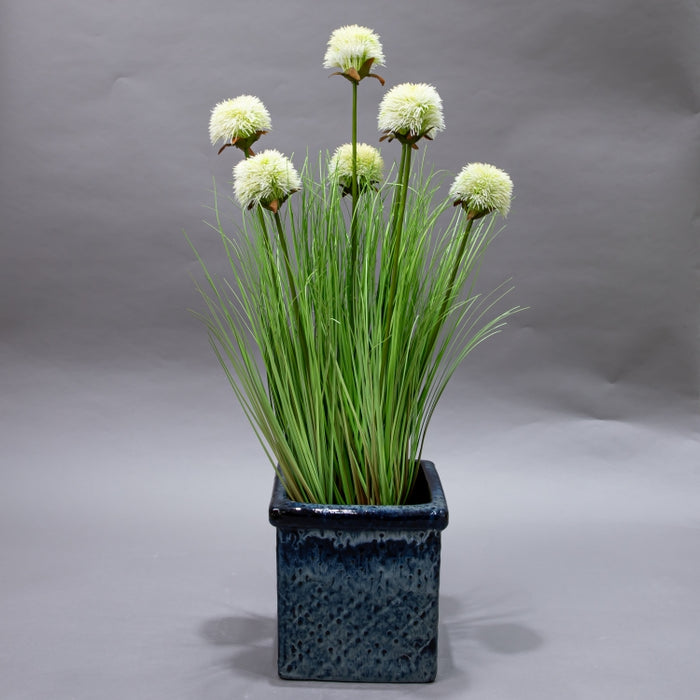 LONGJIN-75CM SUNFLOWER GRASS WHITE (413252215)