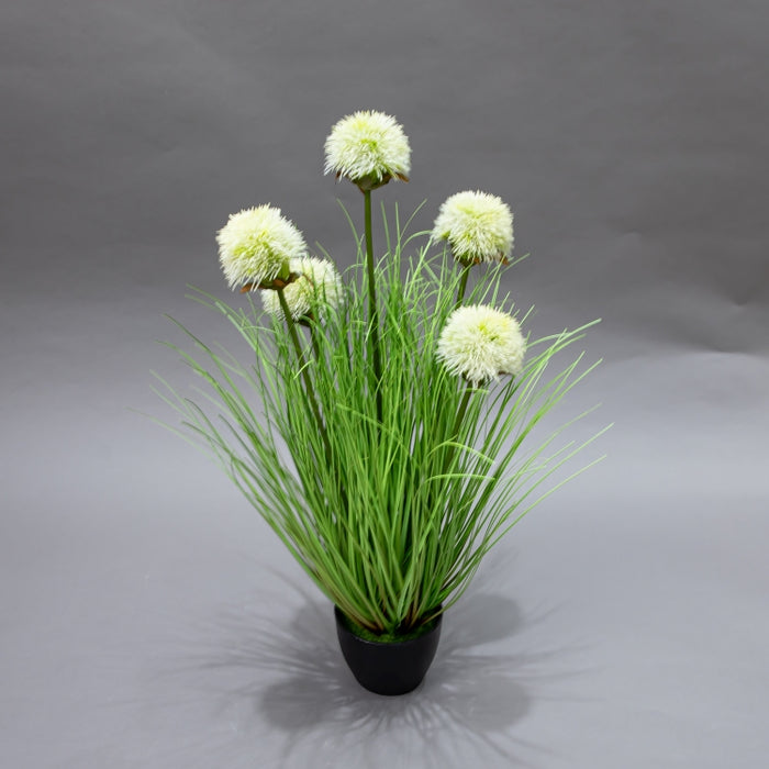 LONGJIN-60CM SUNFLOWER GRASS WHITE (413252214)