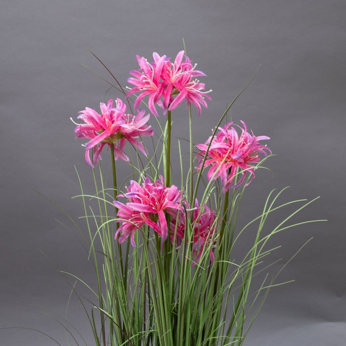 LONGJN-90CM PINK MAGIC LILY GRASS (413252191)