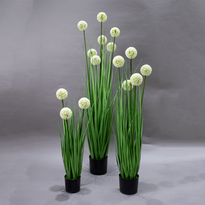 LONGJIN-140CM ALLIUM GRASS GREEN (413252201)