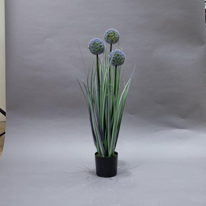 LONGJIN-80CM ALLIUM GRASS PURPLE (413252196)