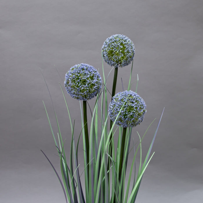 LONGJIN-80CM ALLIUM GRASS PURPLE (413252196)