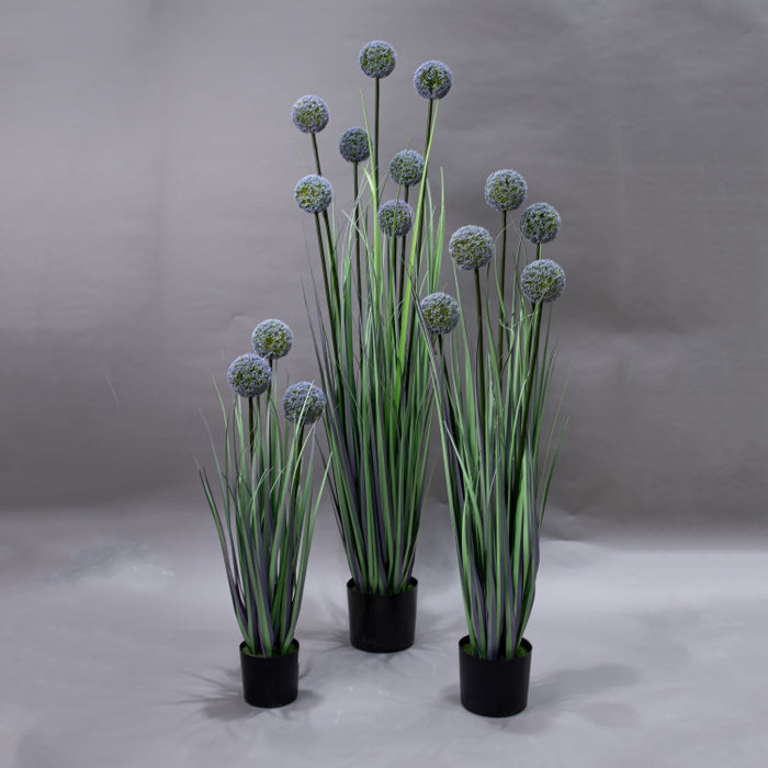 LONGJIN-140CM ALLIUM GRASS PURPLE (413252198)
