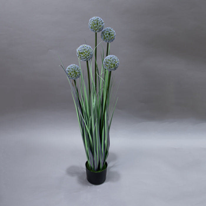 LONGJIN-110CM ALLIUM GRASS PURPLE (413252197)