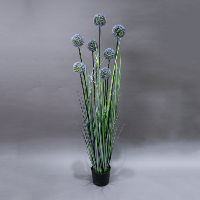 LONGJIN-140CM ALLIUM GRASS PURPLE (413252198)