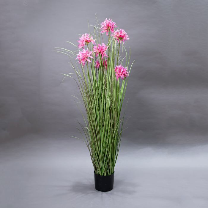 LONGJN-120CM PINK MAGIC LILY GRASS (413252192)