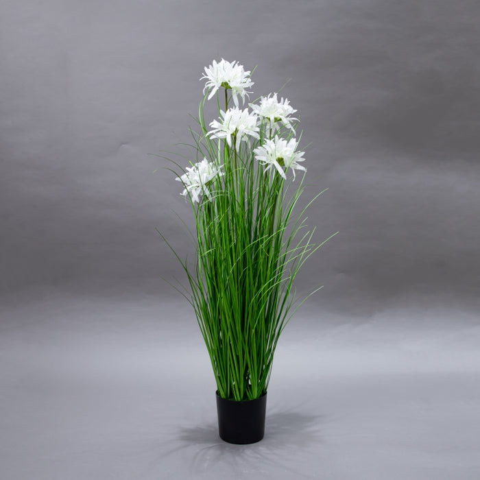 LONGJIN-90CM WHITE MAGIC LILY GRASS (413252188)