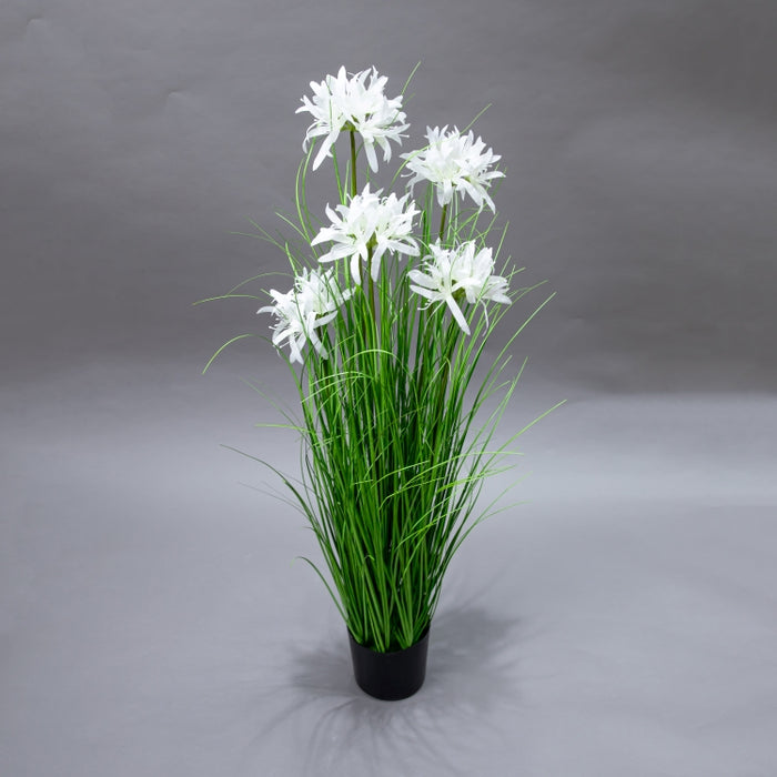 LONGJIN-90CM WHITE MAGIC LILY GRASS (413252188)