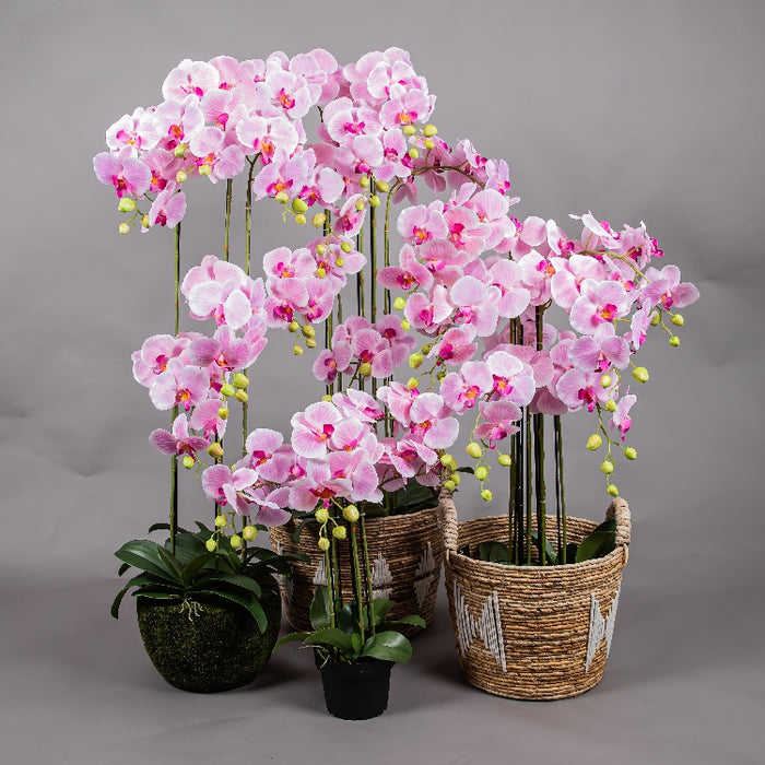 MEIRUI ORCHID WITH MOIST POT 115CM LIGHT PURPLE (413252072)