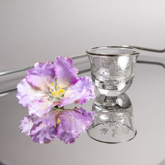 CAWA CUP SET/6PCS PLTNM G1258/1P (202016500)