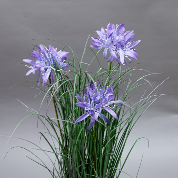 LONGJN-70CM PURPLE MAGIC LILLY GRASS (413252184)