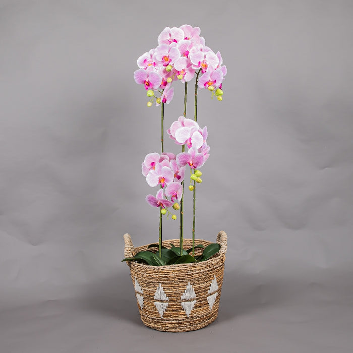 MEIRUI ORCHID WITH MOIST POT 115CM LIGHT PURPLE (413252072)
