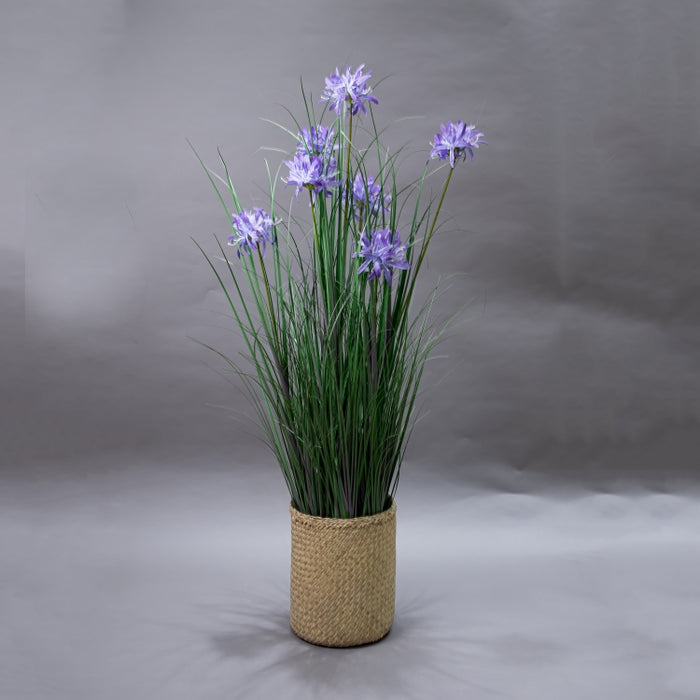 LONGJN-120CM PURPLE MAGIC LILY GRASS (413252186)