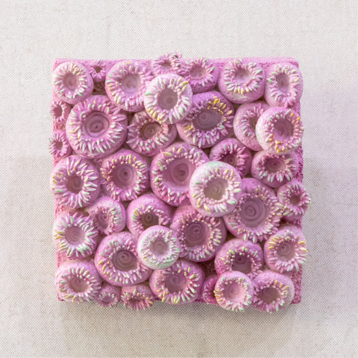 SOFTMOON SEA CORAL WALL PINK (418031204)