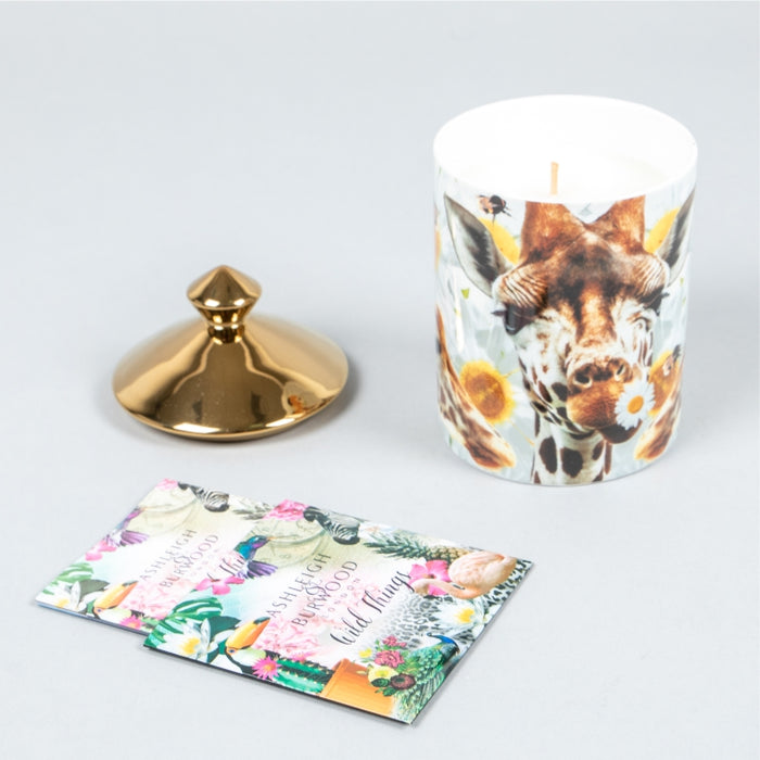 CANDLE YOU'RE HAVING A GIRAFFE 320 GRAMS (428038510)